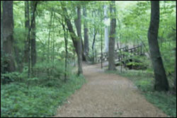 guilford-courthouse-hiking-trail-nc