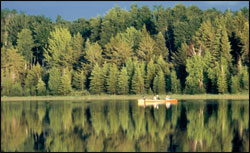 prince-albert-forested-lakeshore-with-canoers