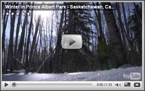 winter-in-prince-albert-national-park-saskatchewan-canada