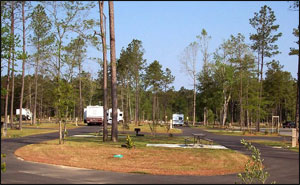 RV-campsite-at-willow-tree-resort-south-carolina