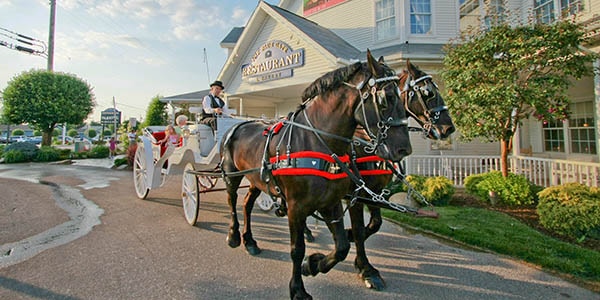A man in blue vest and bowler drives a white carriage towed by two handsome horses.