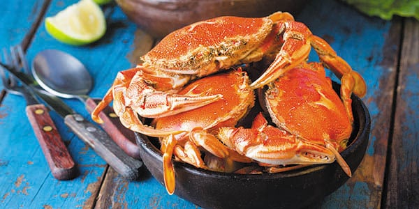 Three red crabs in a black pot on a blue table.