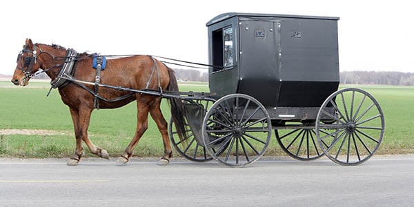 A black Amish buggy pulled by a single horse.