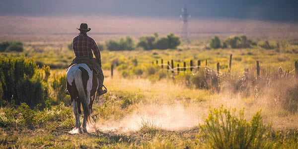 A lone cowboy rides a dusty range alongside a wire fence.