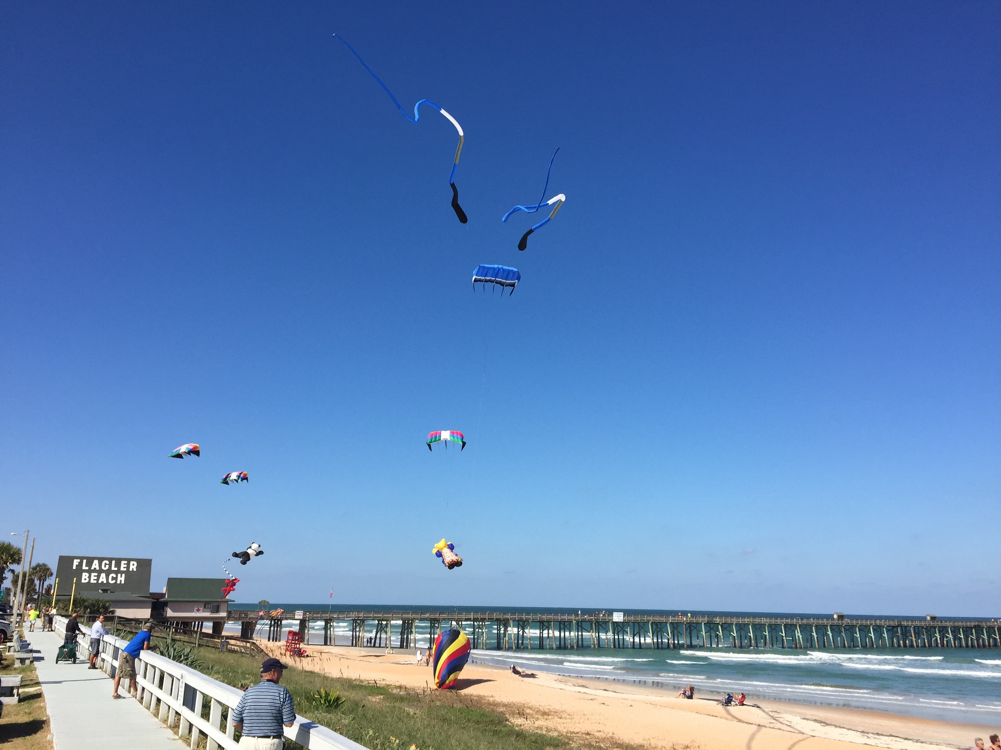 Flagler Beach Kites