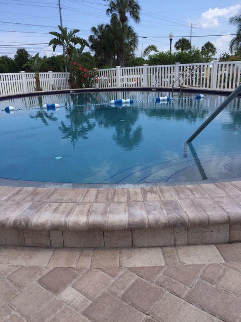 Tampa South RV Resort - pool