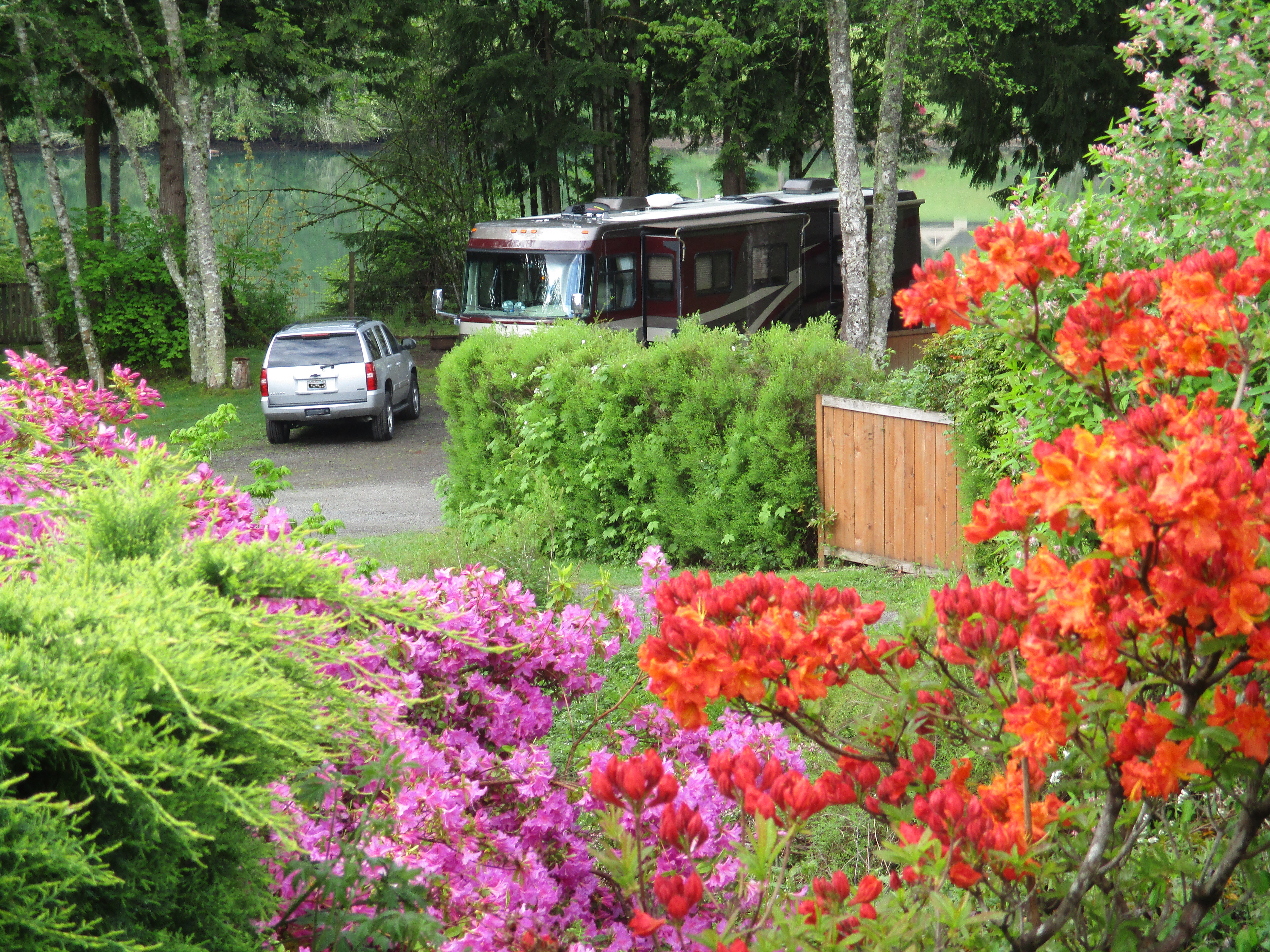Harmony Lakeside RV & Cabins - Beautiful landscaping