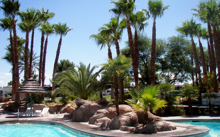 Oasis Las Vegas RV Resort - pool