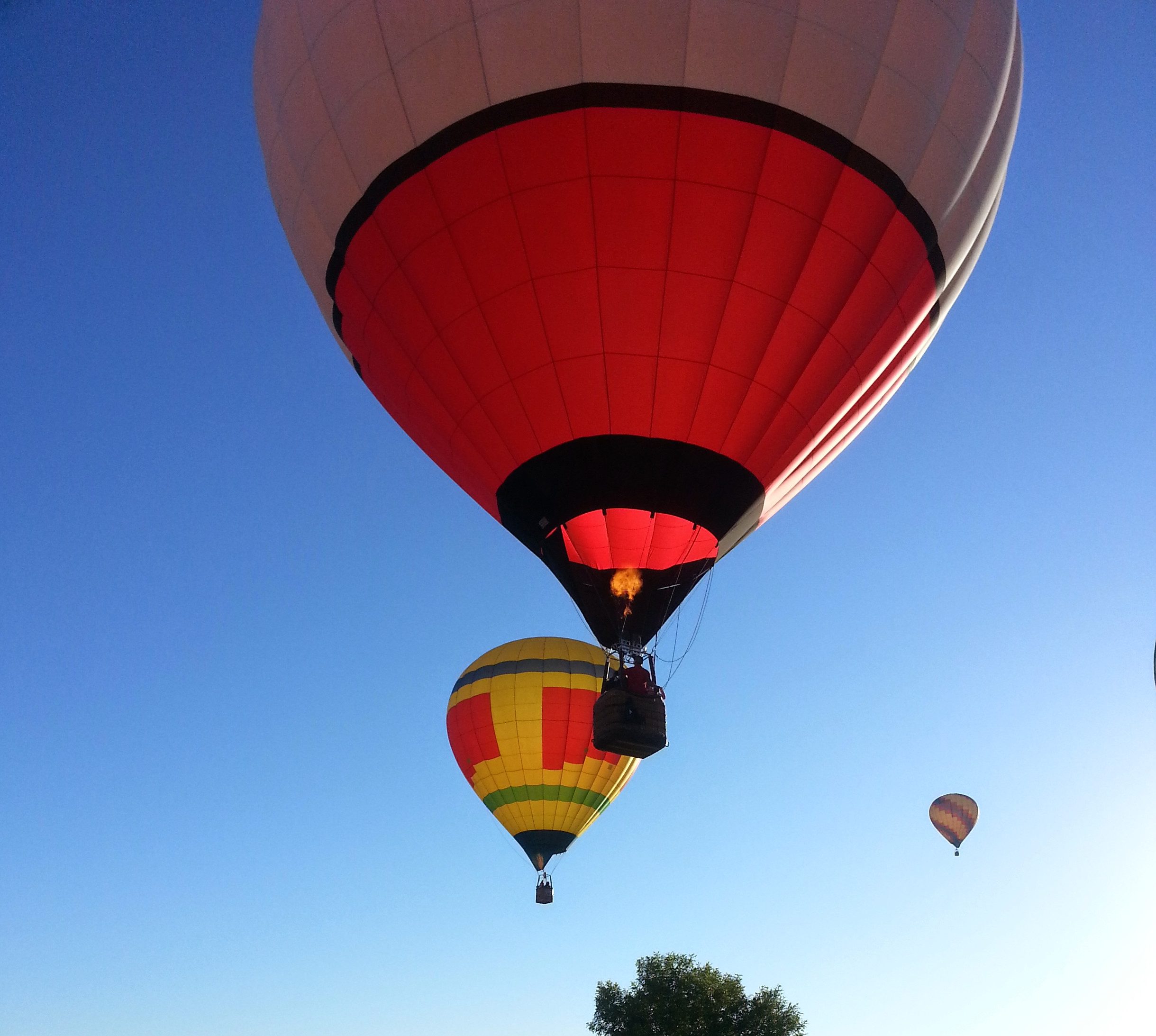 Little Vineyard RV Park - Hot Air Balloon