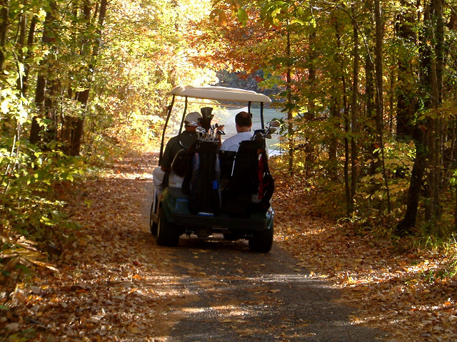 Quail Creek RV Resort - Golf car in woods