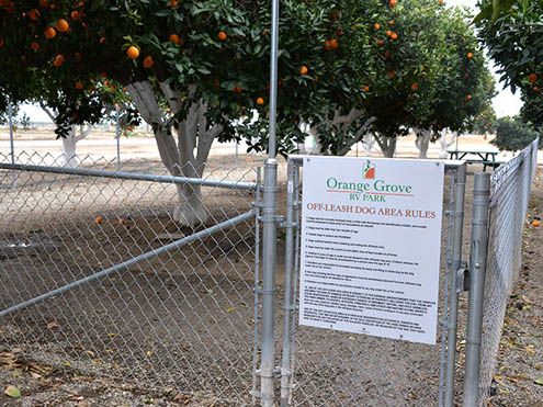 Orange Grove RV Park - Dog Park