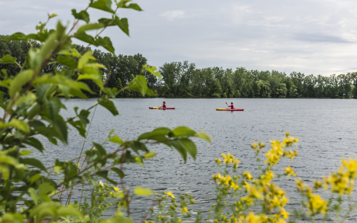 Soaring Eagle Hideaway RV Park - kayaks on lake