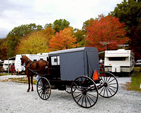 Tucquan Park Family Campground - Amish horse and carriage