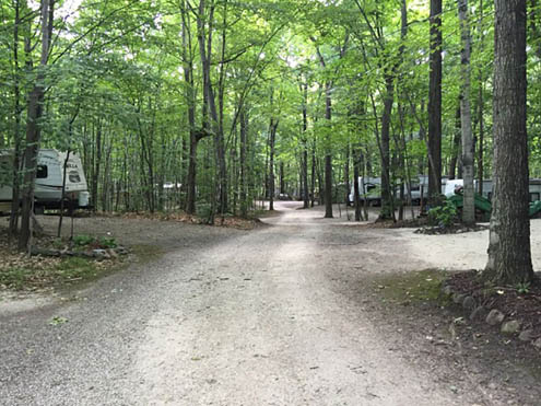 Quietwoods South Camping Resort - wooded RV sites
