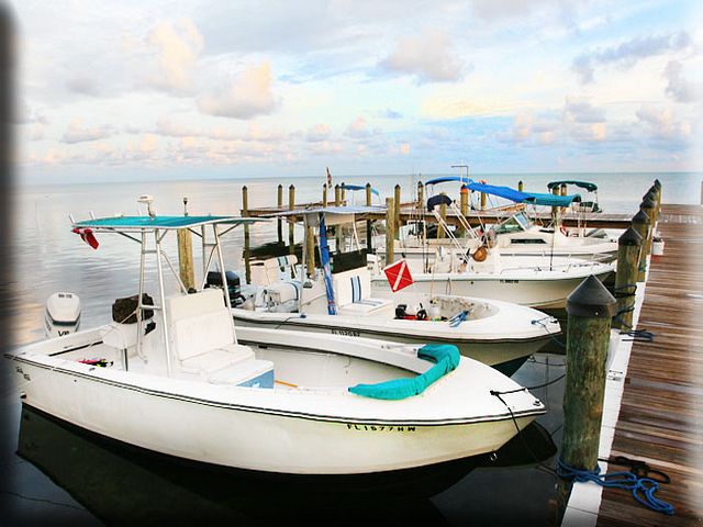 Jolly Roger RV Resort - boat dock