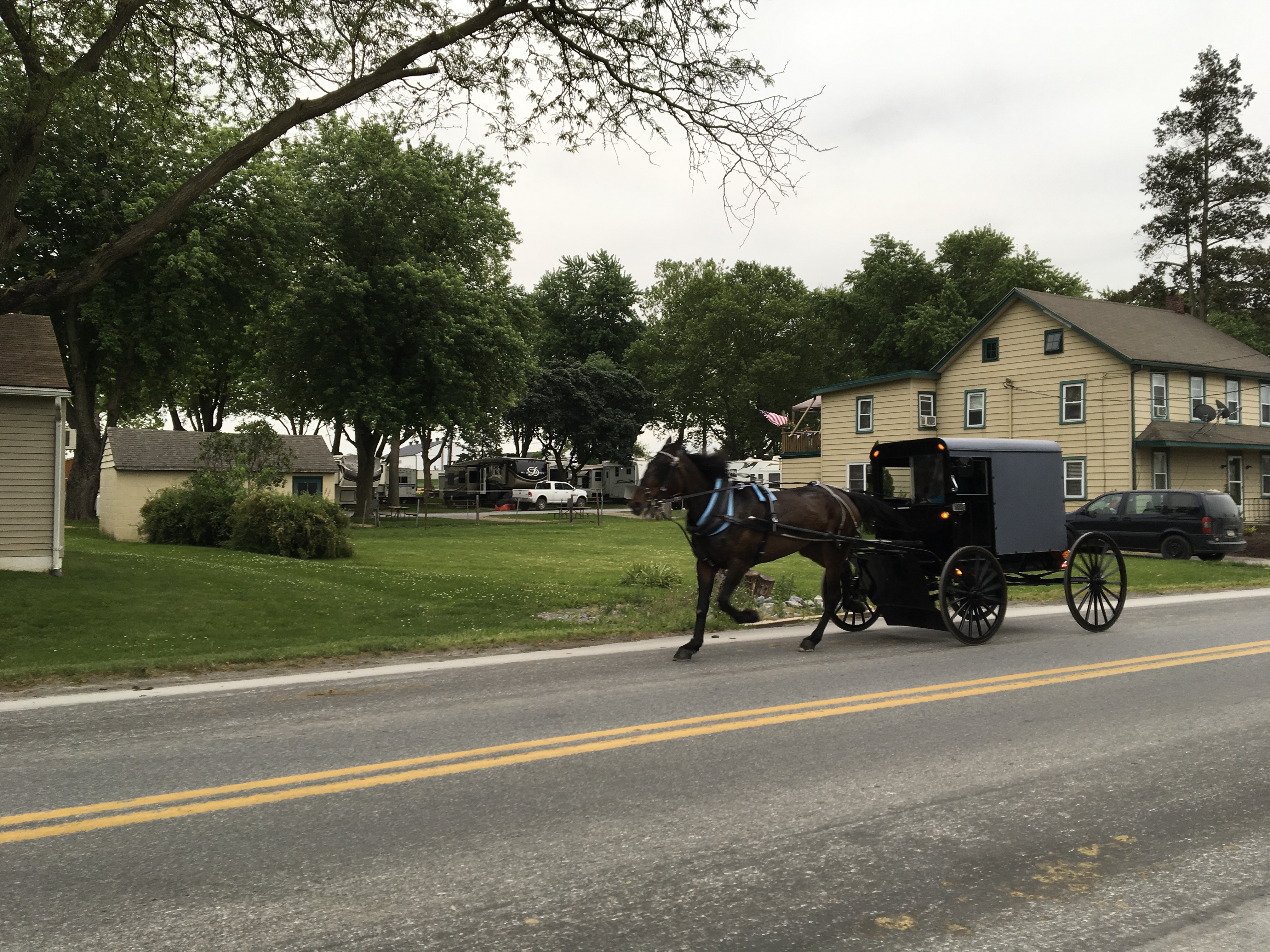 Flory's Cottages & Camping - buggy ride