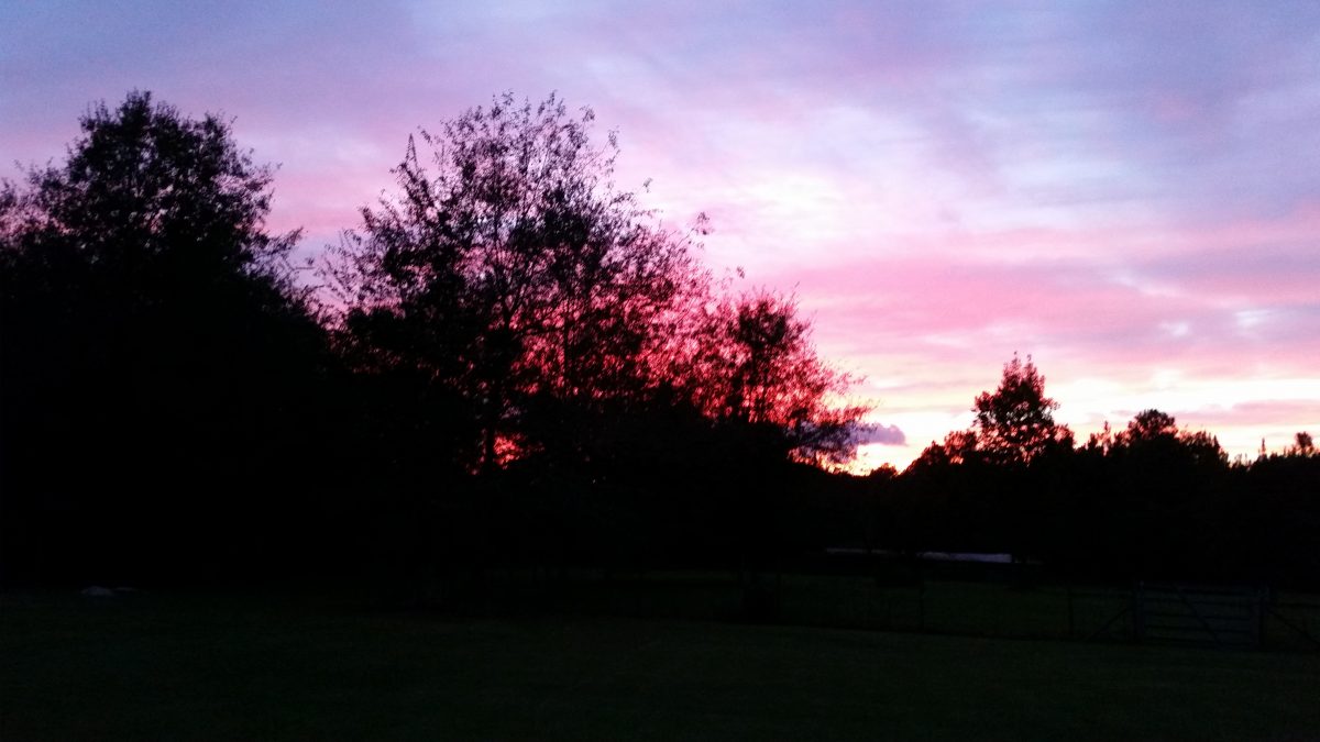 Azalea Acres RV Park - sunset