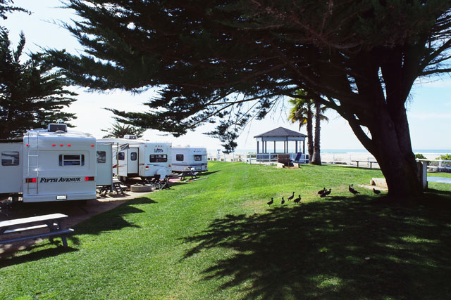 Pismo Coast Village RV Resort - sites by the beach