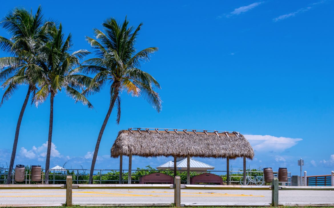 Thatched roof near palm trees at fishing pier with blue sunny skies.