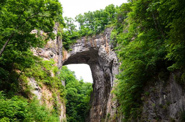 Natural Bridge formed of rock and greenery, Virginia