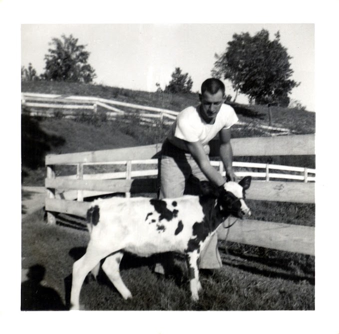 Black and White photo of man petting a small cow