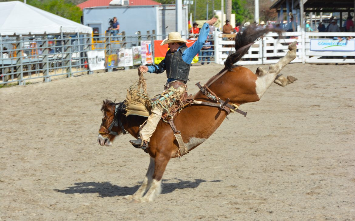 Cowboy on horse at rodeo