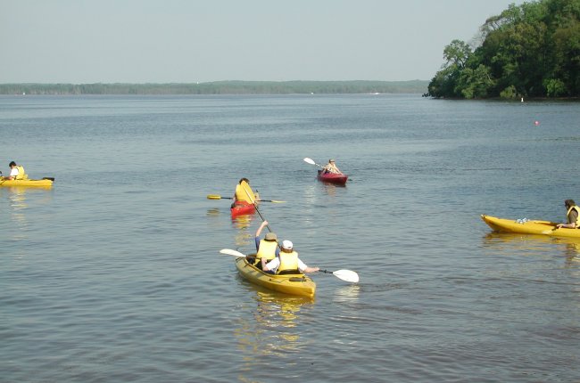 Campers in paddle boats heading away from the shore in the water