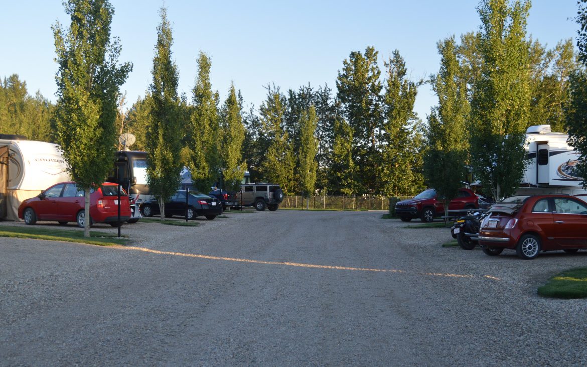 Many vehicles parked along gravel road
