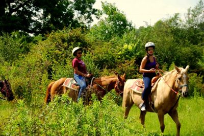 Group on horseback through lush greens