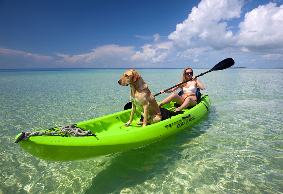 A girl kayaks with a dog in the clear waters of the Florida Keys.