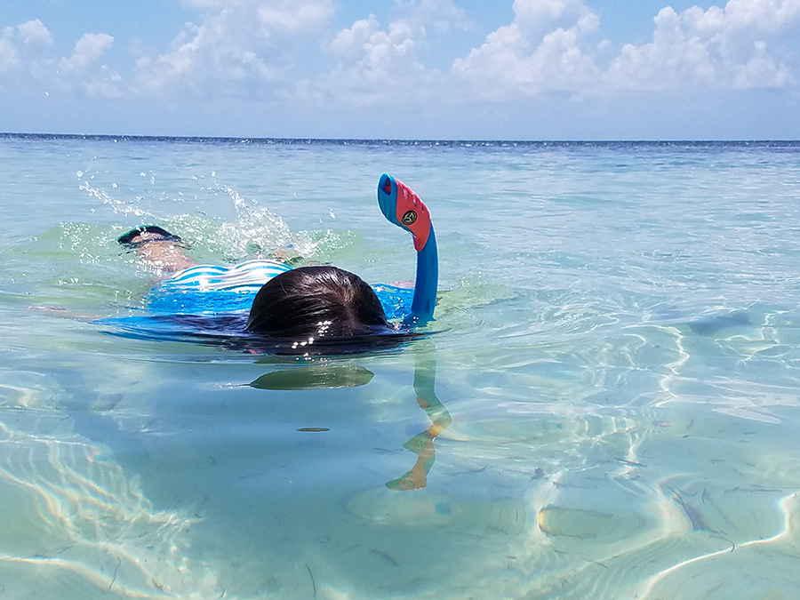 A snorkeler skims across the surface of clear waters off Florida.