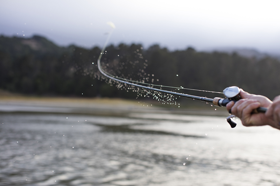 A rod bends as an angler swings it back for a cast.