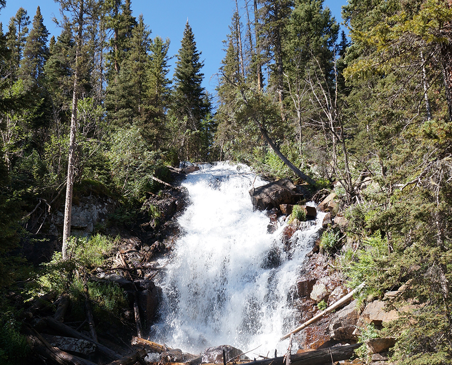 A frothy waterfall cascades through a forest in Rocky Mountain National Park.