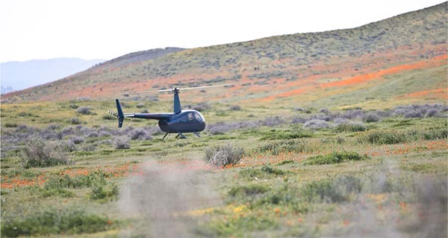 Flower tourists land a helicopter in California's Antelope Poppy Reserve. Photo courtesy of Antelope Poppy Preserve.