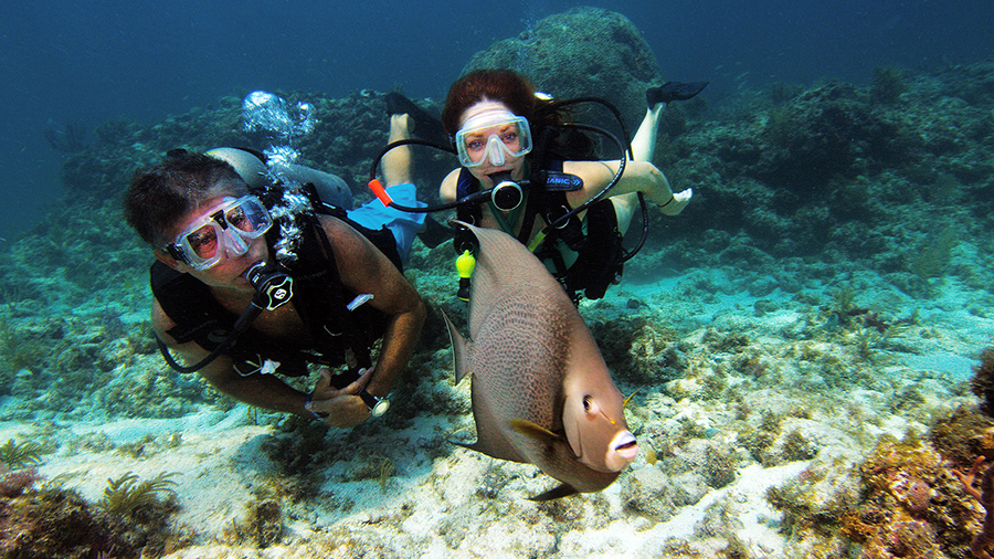 A man and woman swim behind a fish amid a reef.