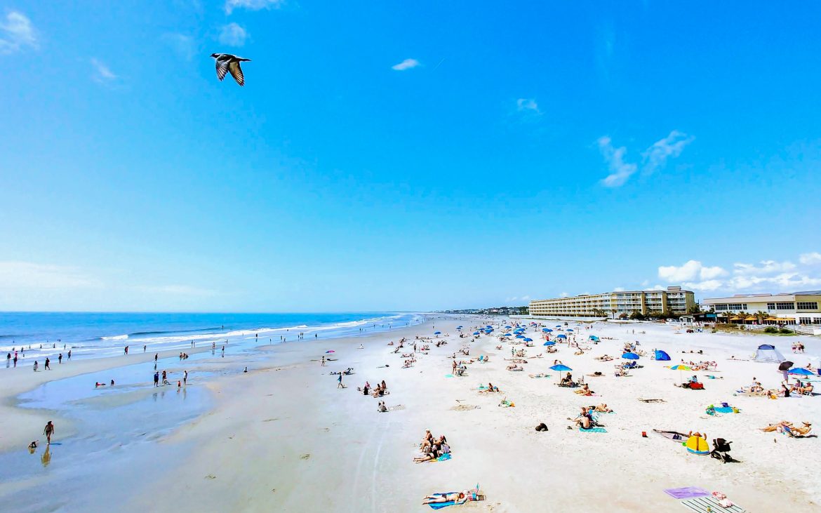 A view of Folly Beach with people on the beach and a seagull flying by