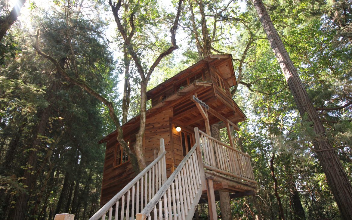 Large treehouse high up in the trees with stairs