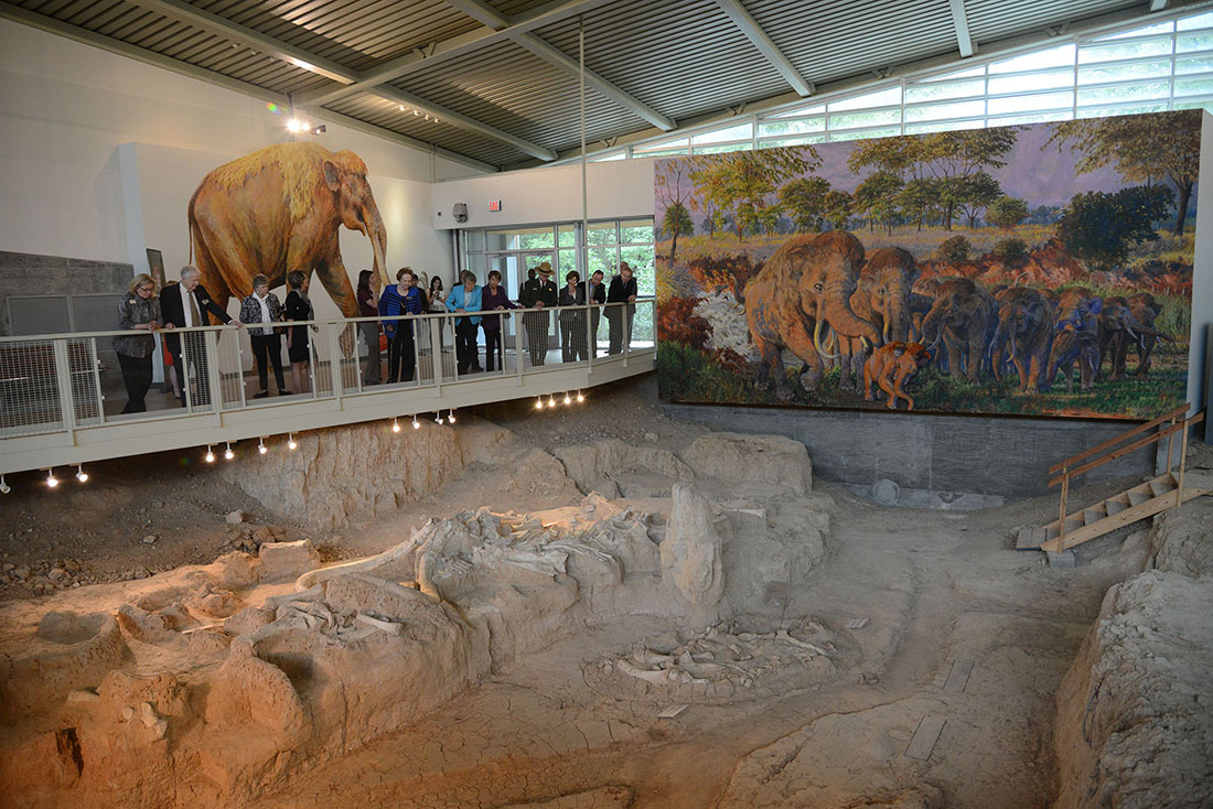 A crowd overlooks an excavation for bones at the Waco Mammoth National Monument.