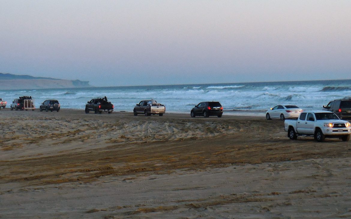 Multiple vehicles along the sand with ocean in background
