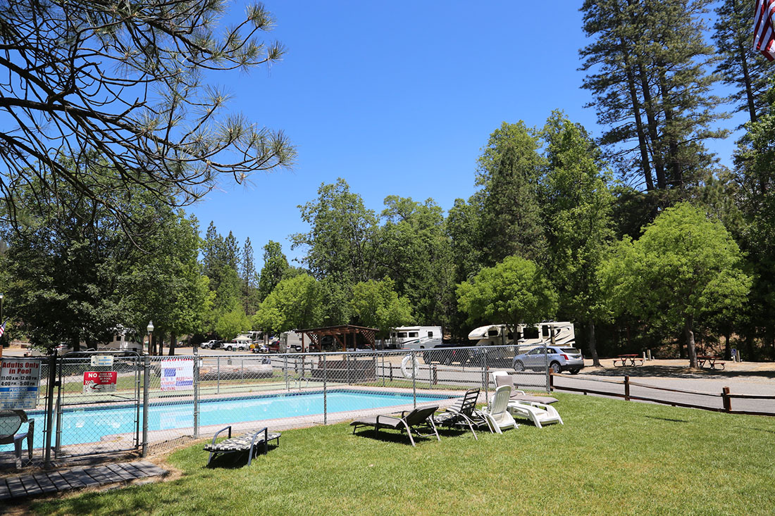 A fenced-in pool with reclines at an RV park fringed with tall trees.