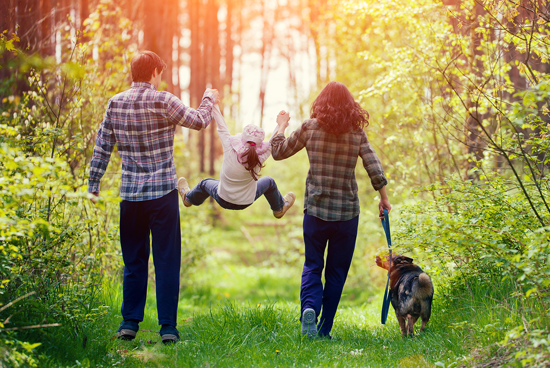 A family takes a hike in a green forest.