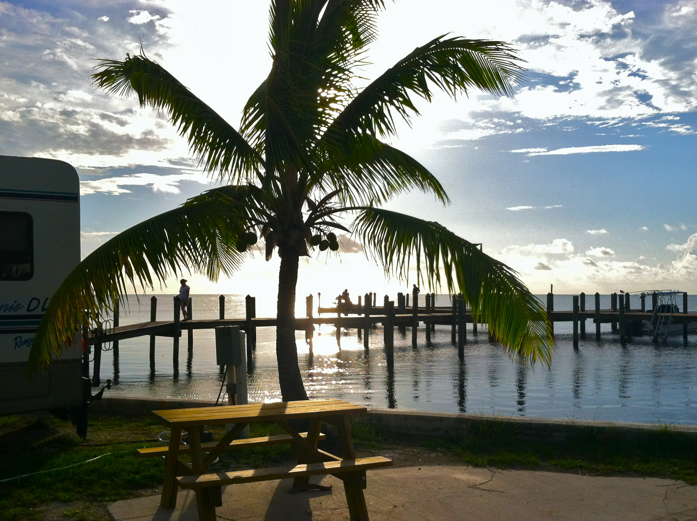 The sun hangs over the horizon of an RV park with a palm tree in the foreground and an angler standing on a pier.