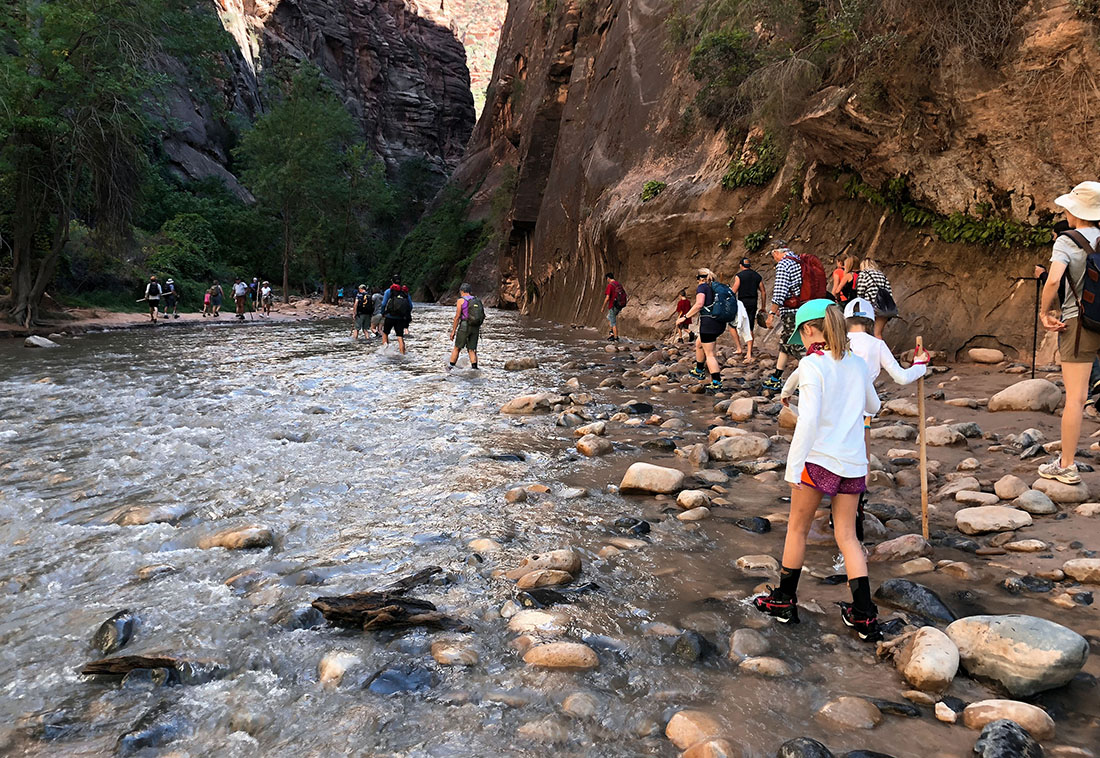 The Narrows hike in Zion National Park follows the cool waters of the Virgin River.