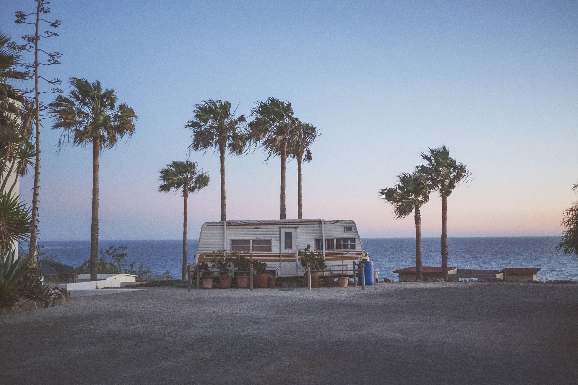 Palm trees bend over a camping trailer on a windy day along the coast.