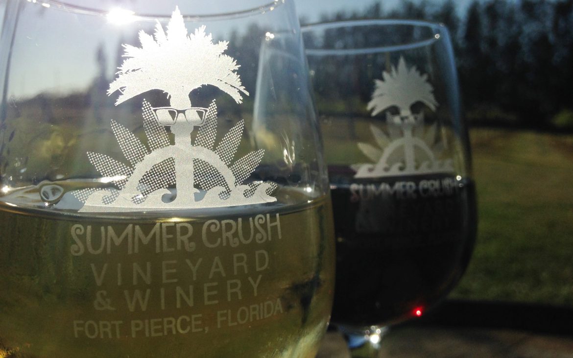Close up of two glasses of wine white and red outside