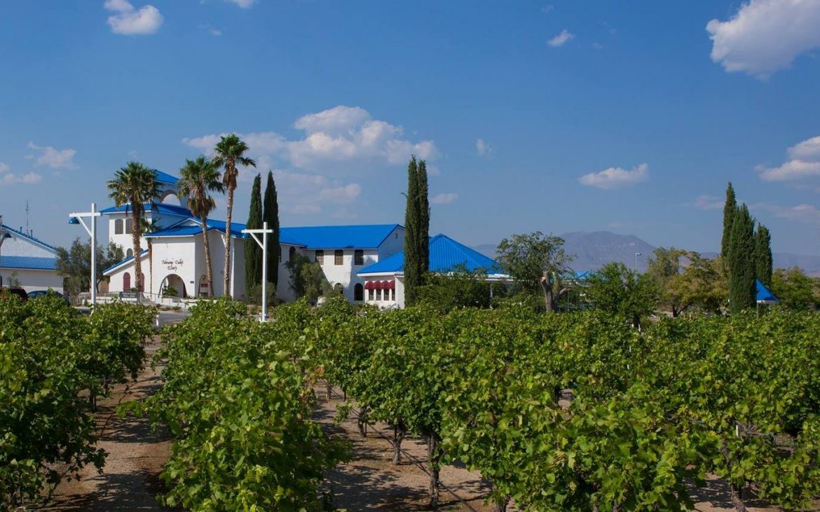 Winery building with blue roof behind vineyards