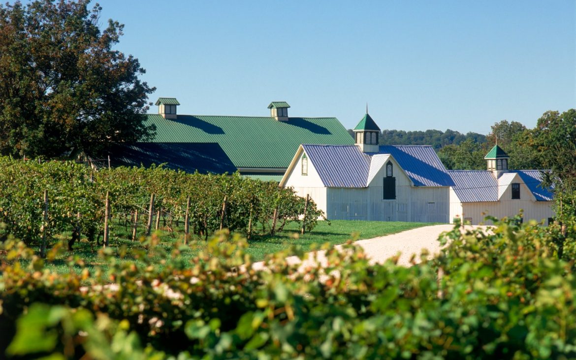 Winery buildings among lush vineyards in Maryland