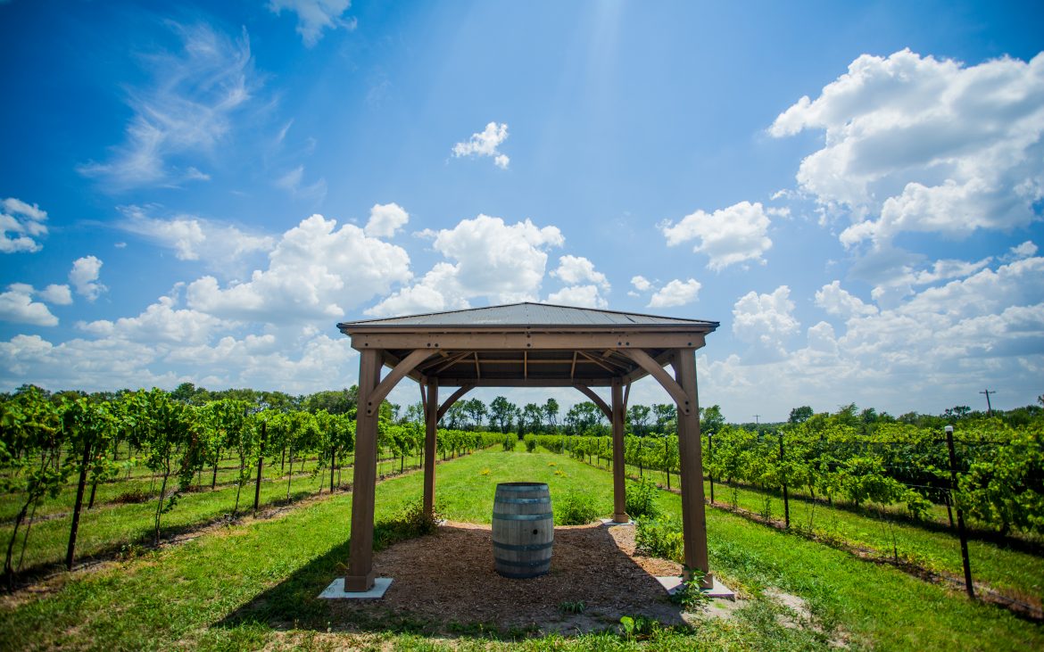 Beautiful vineyard with patio covering one barrel