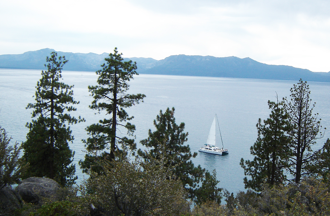 With trees in the foreground, a tri-hulled sailboat cruises along Lake Tahoe.
