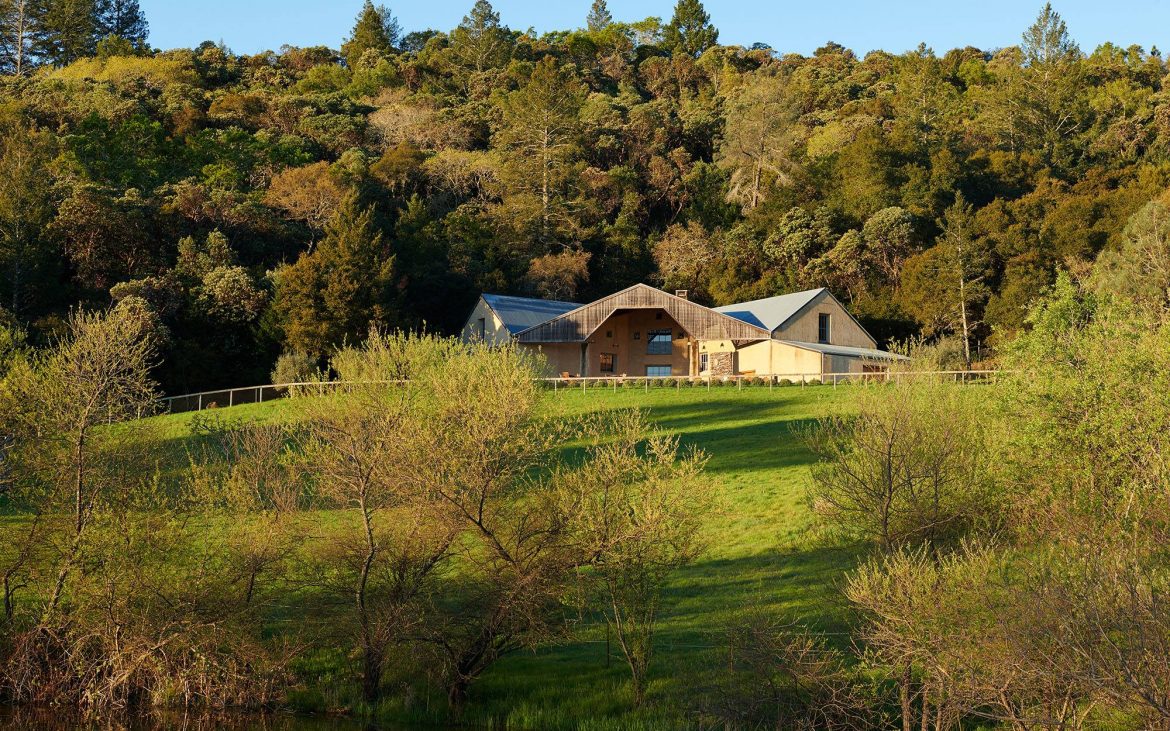 Farm atop green hills with trees on vineyard